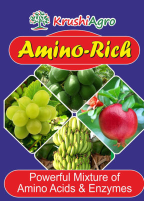 AMI