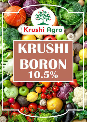 Boron Box Design Karnataka