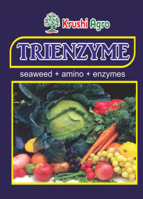 Trienzyme Label